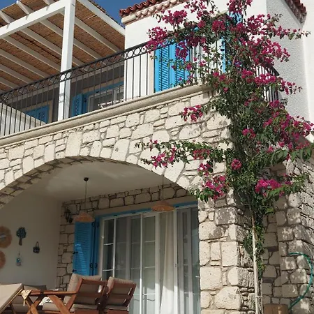 Havuzlu Tas 2 Villa Cesme